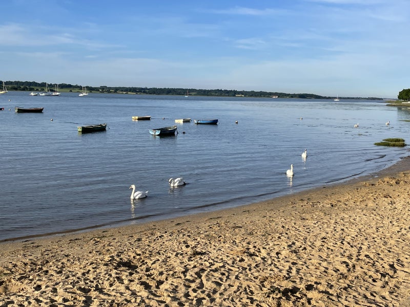 Photo 9: Manningtree beach is just across the street