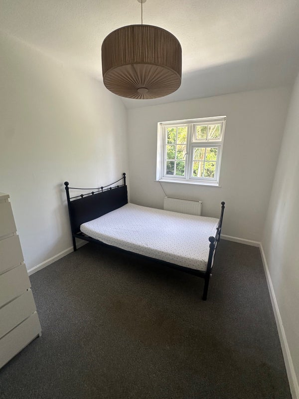 Photo 1: Room