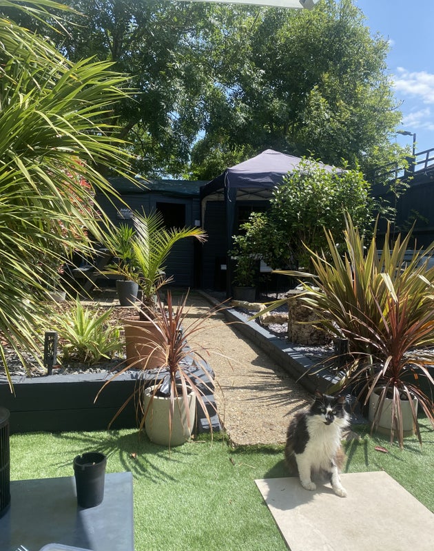 Photo 1: Garden