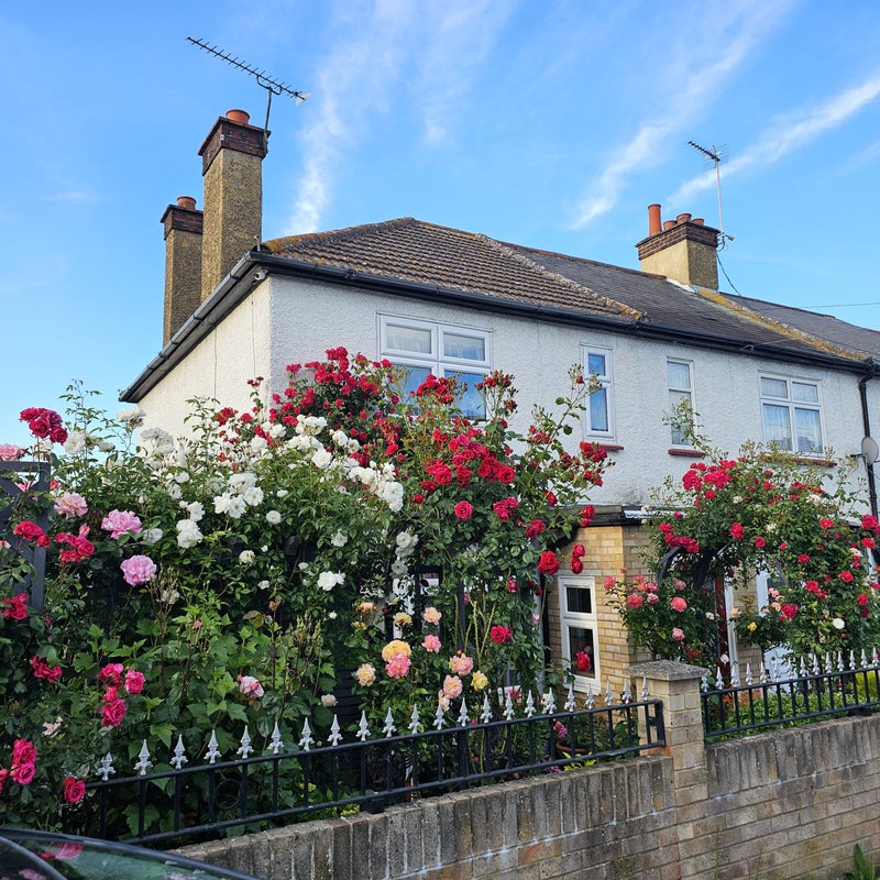 Photo 1: Front of the house 