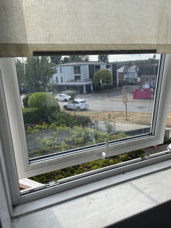 Photo 1: View from bedroom window