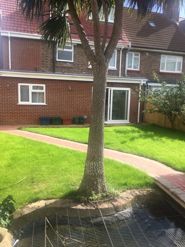 Photo 1: Garden view 