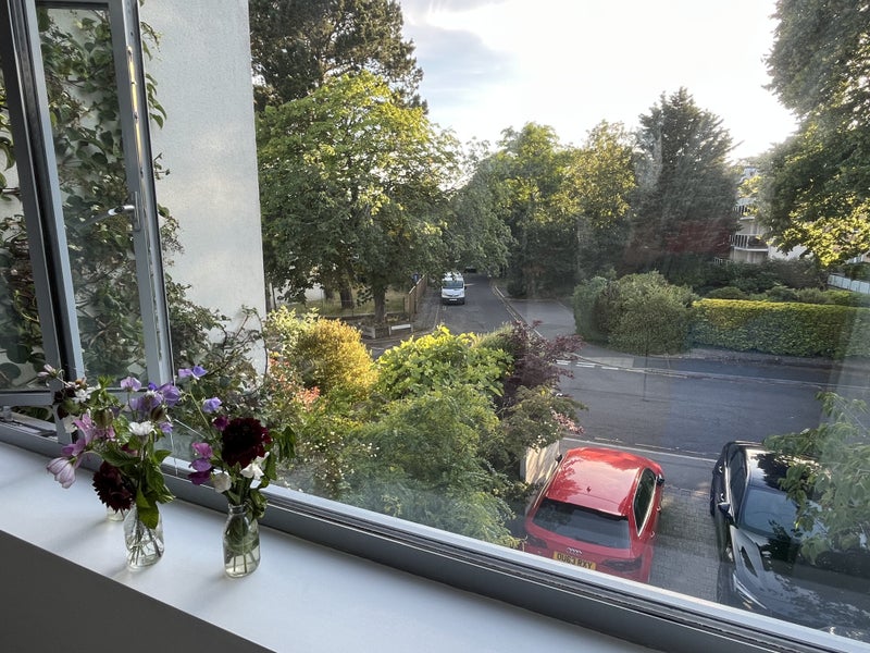 Photo 5: another view from the bedroom