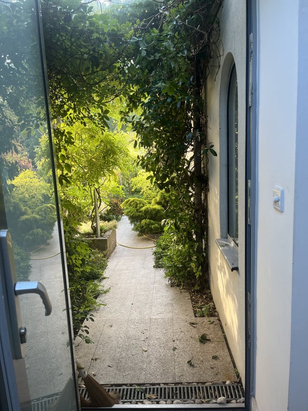 Photo 8: view from the front door