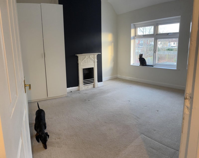 Photo 1: Spare Bedroom 