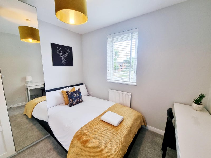 Photo 1: Room 1