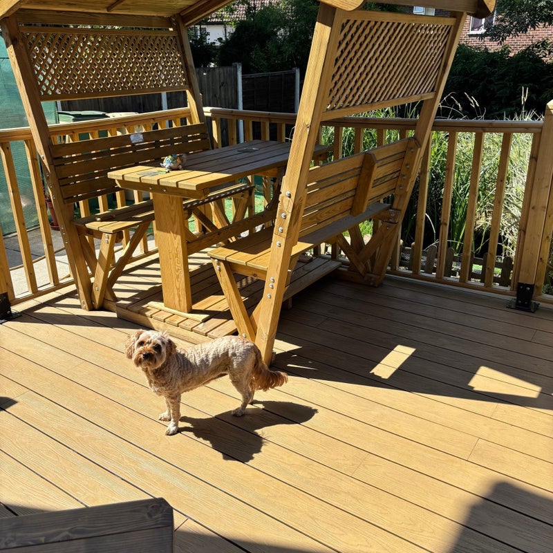 Photo 1: Back Garden