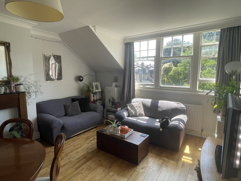 Photo 1: Open livingroom/kitchen (spot the cat)
