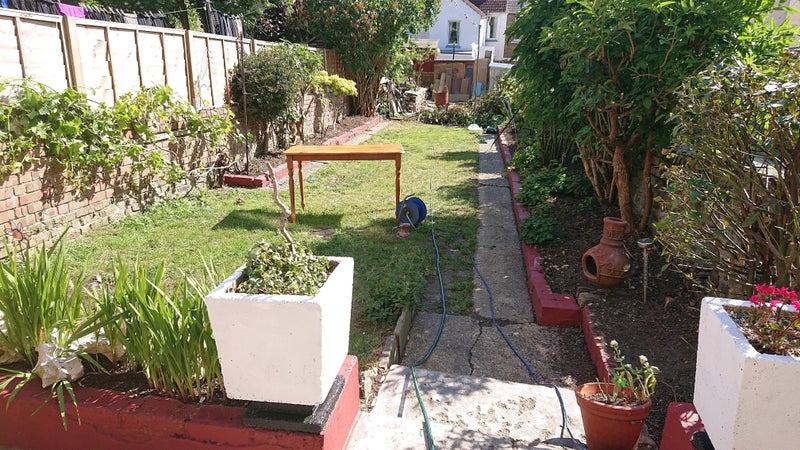 Photo 1: Garden