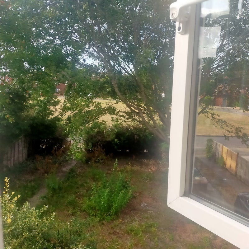 Photo 1: The view from the room window