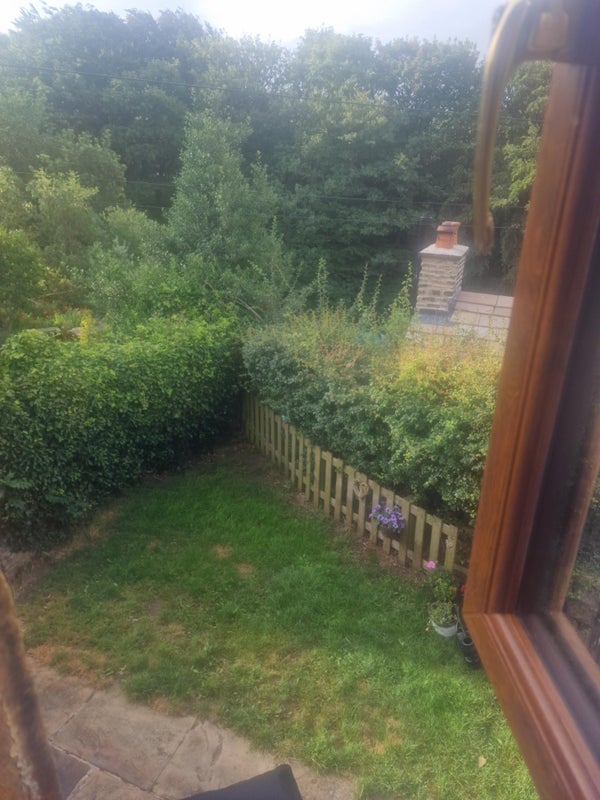 Photo 1: Garden