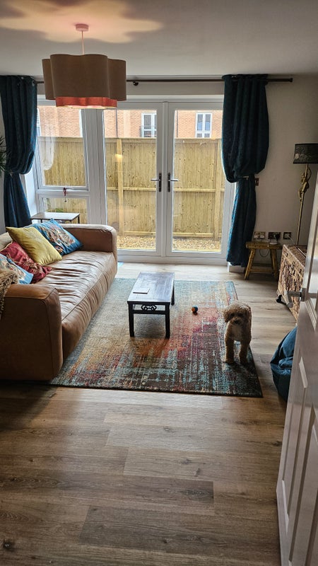 Photo 1: Living Room & Teddy
