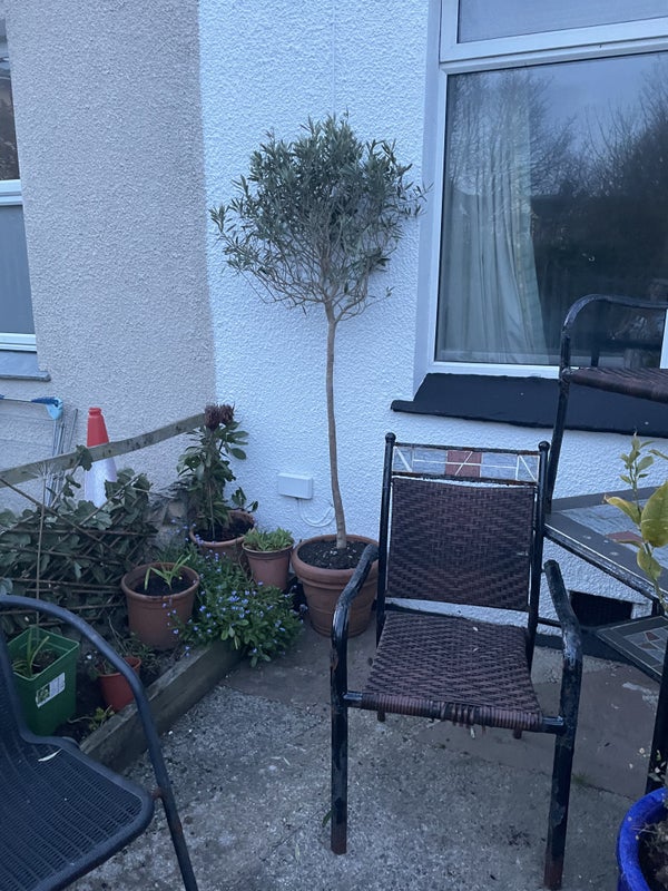 Photo 1: Front of house