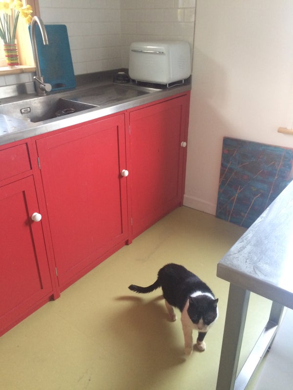 Photo 1: kitchen