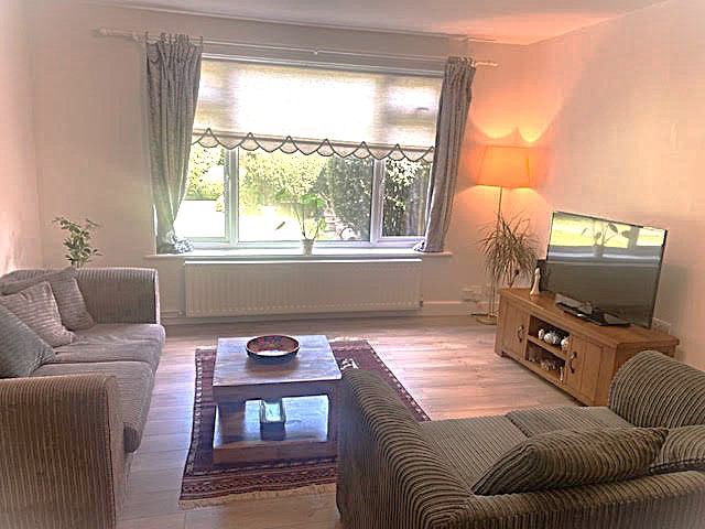 Photo 1: Living room 1