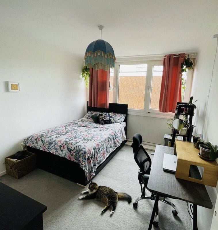 Photo 1: Room 1
