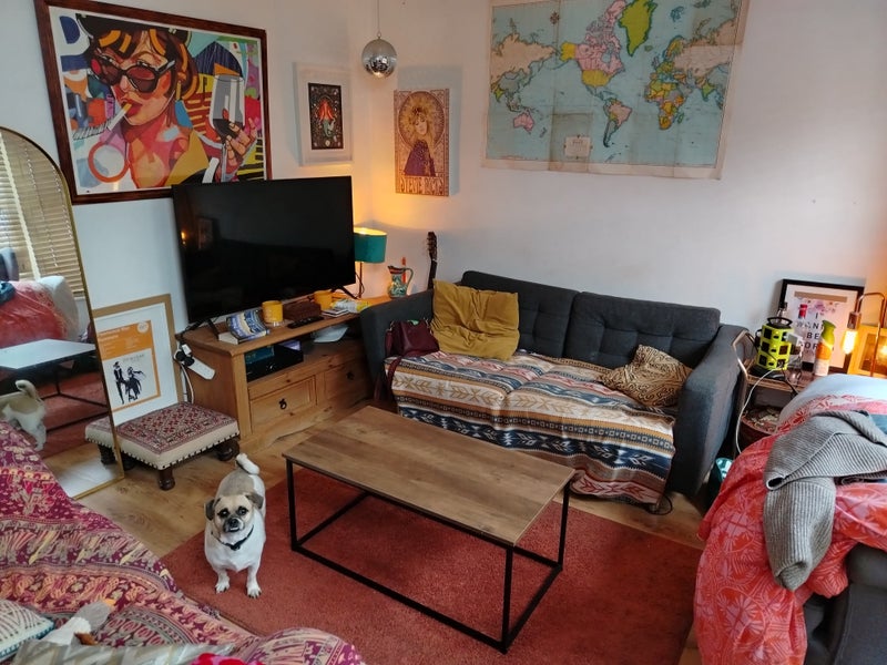 Photo 1: Lounge (and Tobes)- there also a second back room