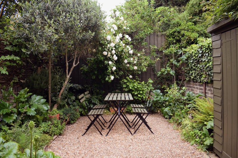 Photo 1: Courtyard garden