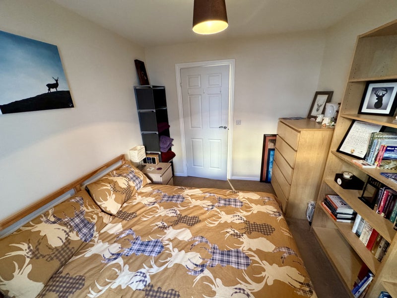 Photo 1: Room (Yours)