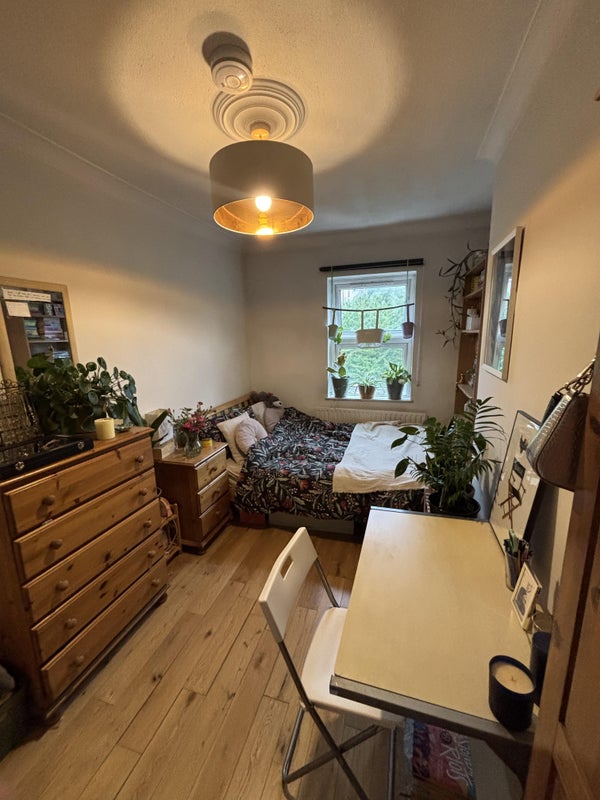 Photo 1: my room to rent