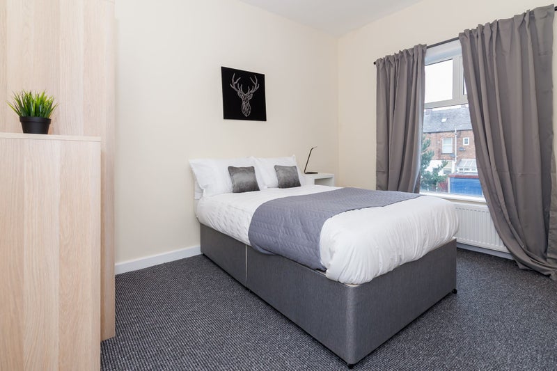 Photo 1: Room 4