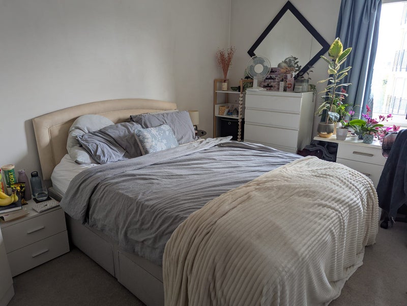 Photo 1: Room