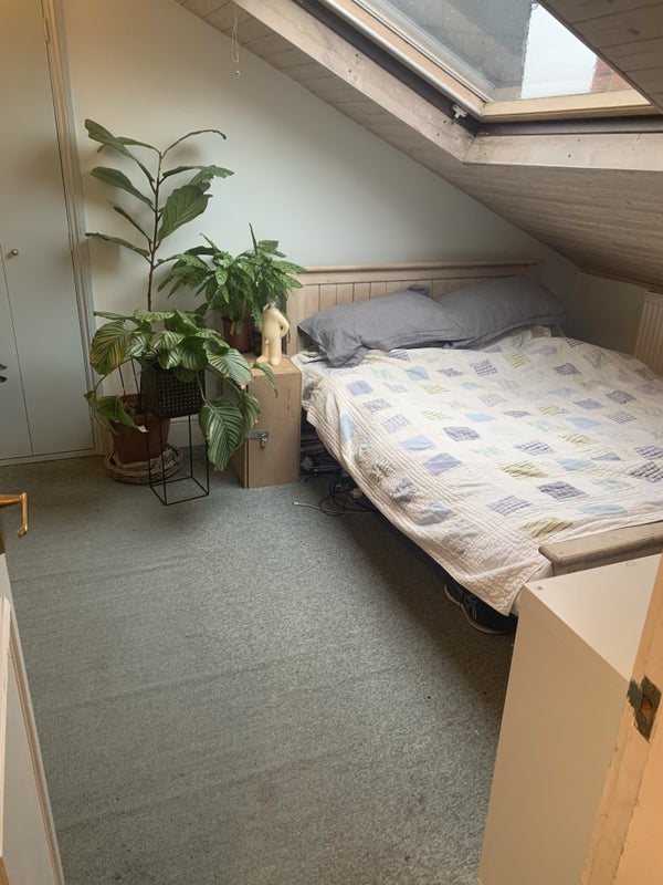 Photo 1: Room 2