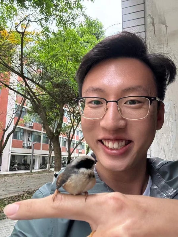 Photo 1: Meet with baby Aegithalos concinnus (we call it little tiger in China)