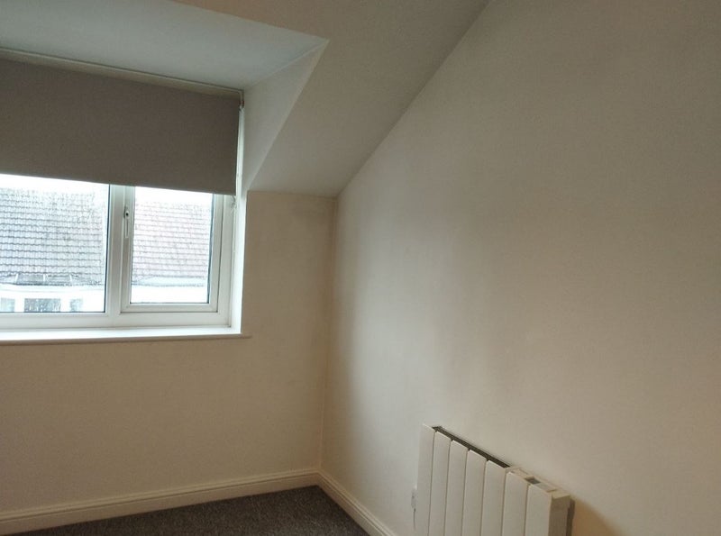 Photo 1: Room (Yours)