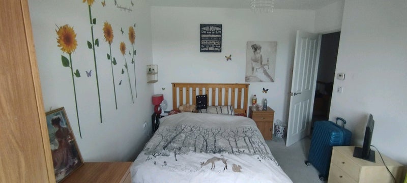 Photo 1: Master bedroom