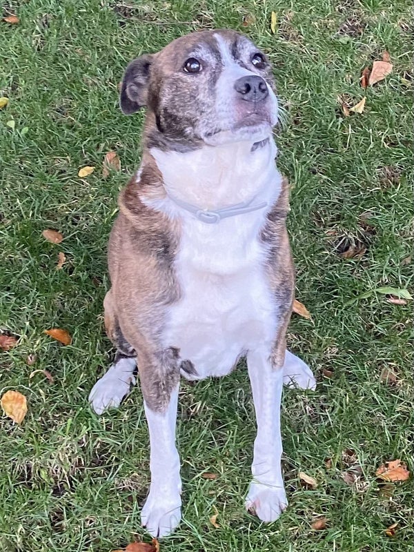 Photo 1: Buster