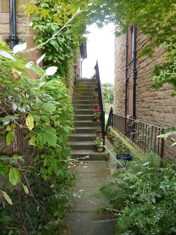 Photo 1: Front Entrance