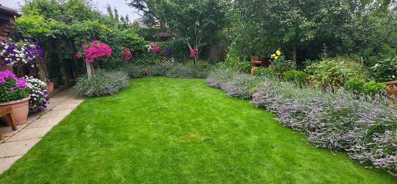 Photo 1: Garden enclosed and private