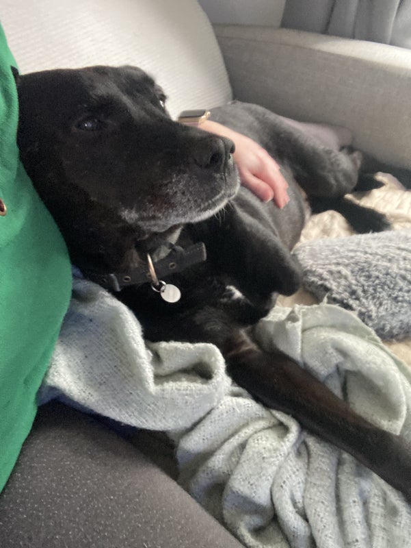 Photo 1: The boy enjoying sofa snuggles with his mum!