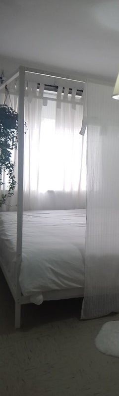 Photo 1: Light filled double room