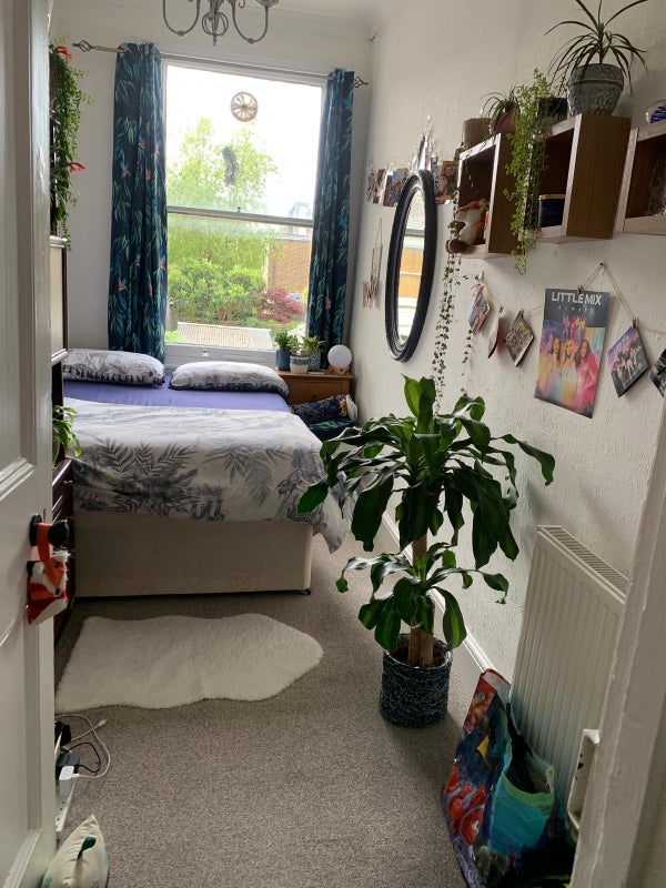 Photo 1: Bedroom