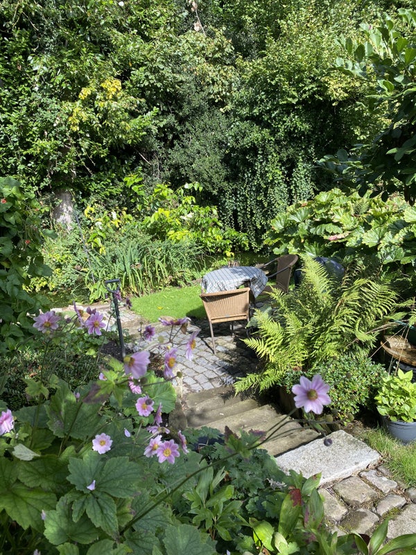 Photo 1: The View of the Garden