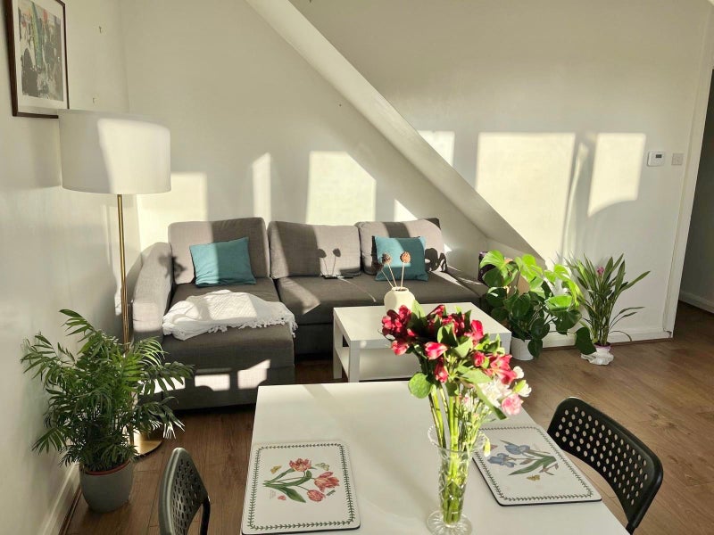 Photo 1: Shared living room