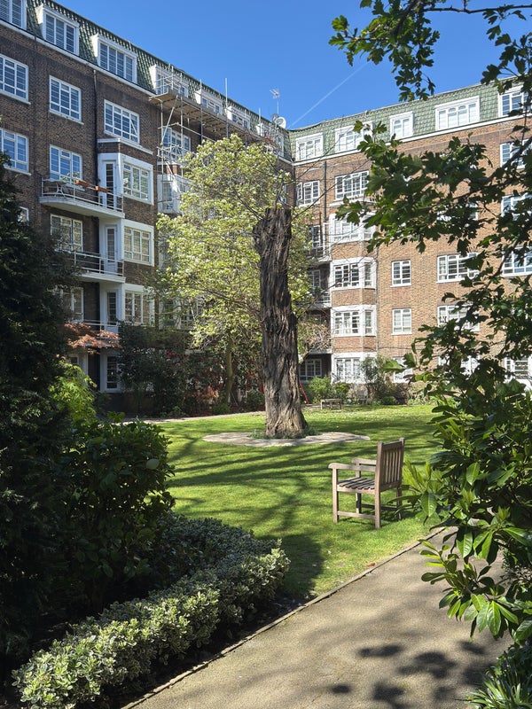 Photo 1: Communal Garden