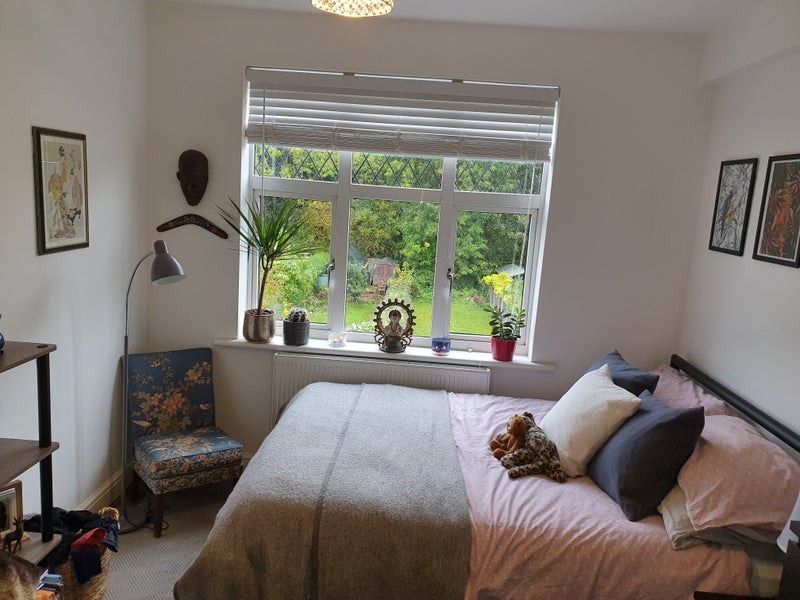 Photo 1: Bedroom 4