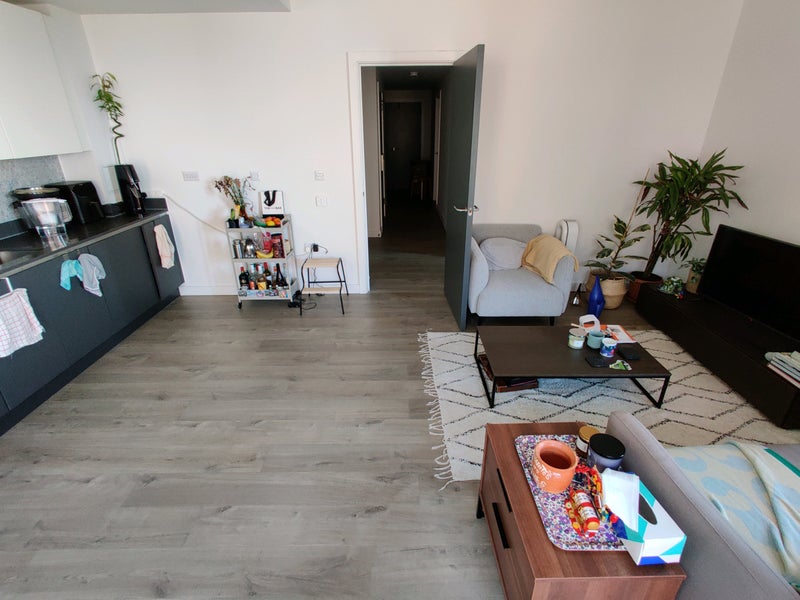 Photo 1: Shared living room with open kitchen gets decent light!