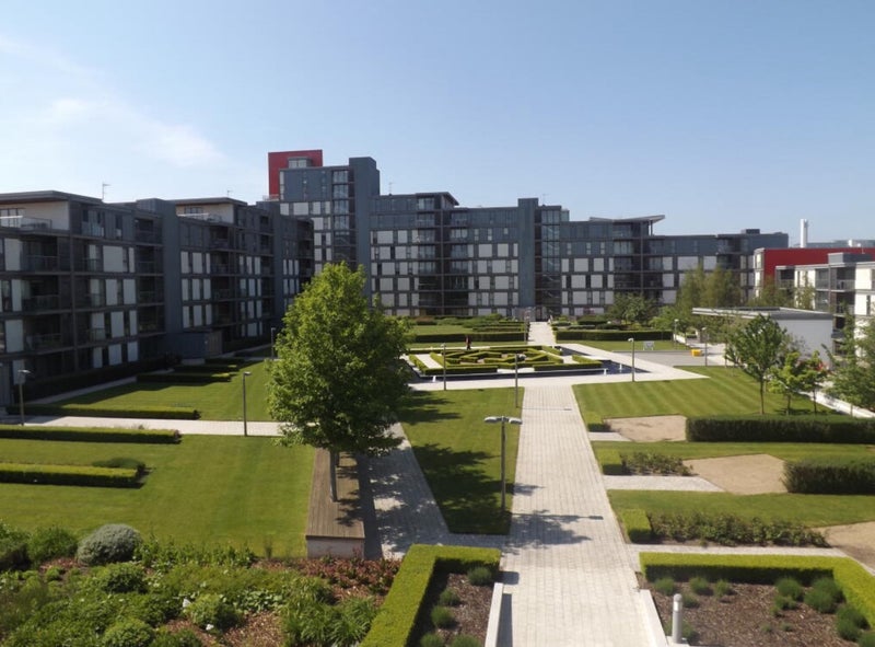 Photo 1: Garden or Patio