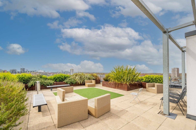 Photo 1: Roof Shared Terrace