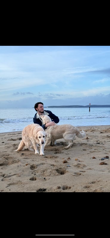 Photo 1: Sadly, my dogs are staying with family and not moving with me 🥲