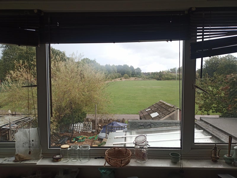 Photo 1: The view