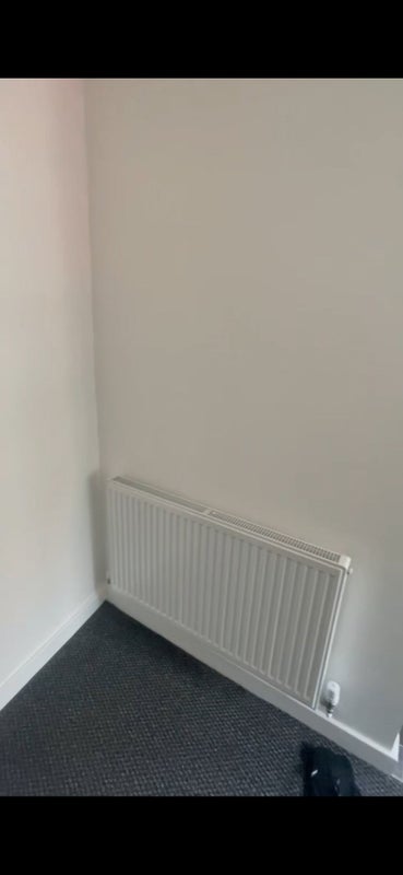 Photo 1: one of the two heaters