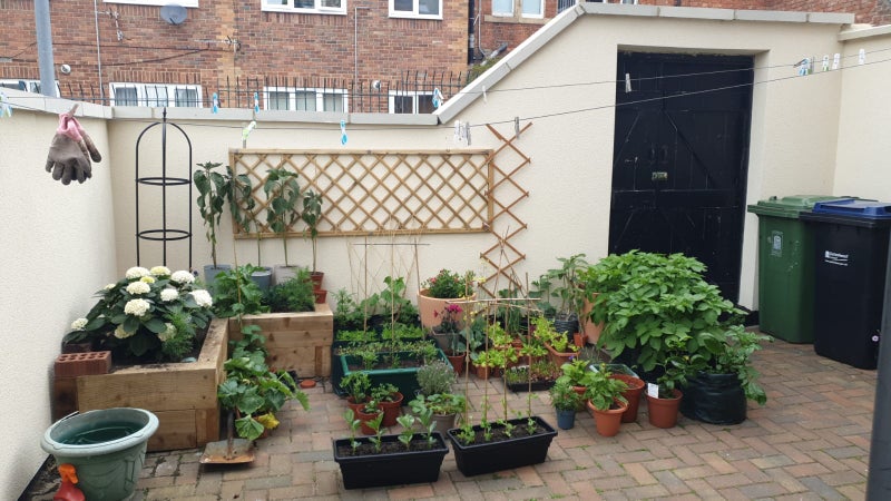 Photo 1: Outdoor Space