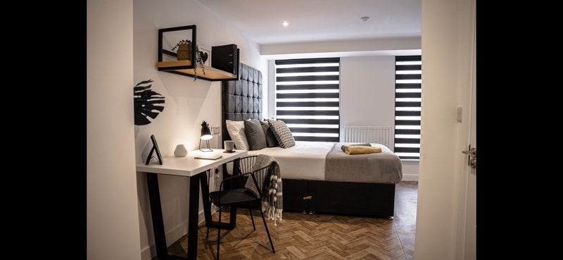Photo 1: Spacious fully-furnished Studios
