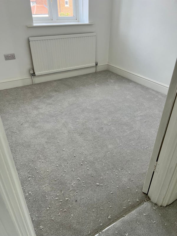Photo 1: Single room will be furnished 