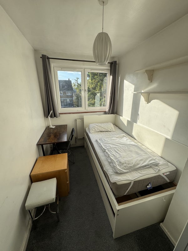 Photo 1: Single bedroom